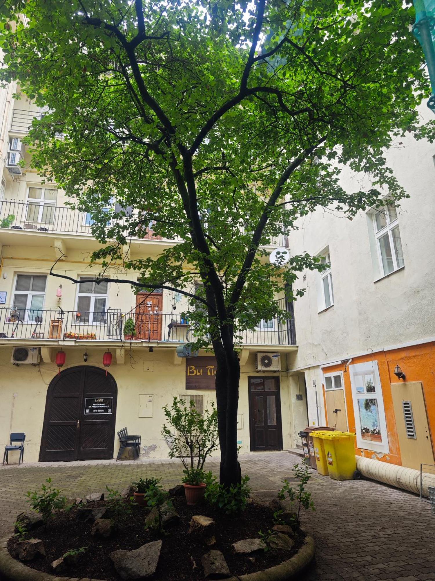 Laurinska Modern Apartment In Direct Centrum Of Bratislava, Air-Condition Bagian luar foto